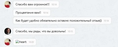 25.08.2025 г. - Вернули 126 000.00 руб. за услуги ООО "Паритет" клиенту из г. Воронеж