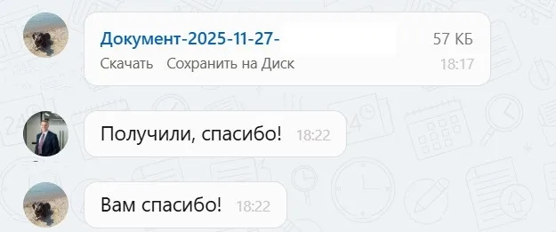 27.11.2025 г. - Вернули 99 000.00 руб. за услуги АО "Карвит" клиенту из г. Новосибирск