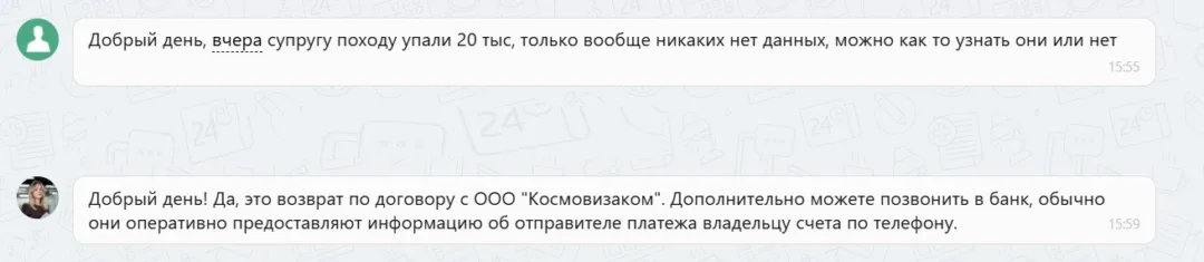 13.02.2026 г. - Вернули 20 000.00 руб. за услуги ООО "Космовизаком" клиенту из Московской области